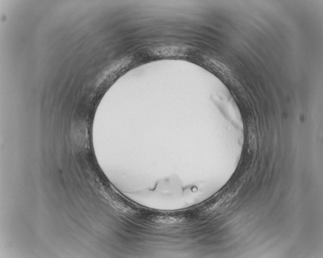 X0000058130453200510212050