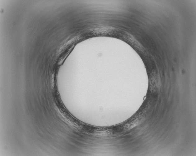 X0000058130454200510212050