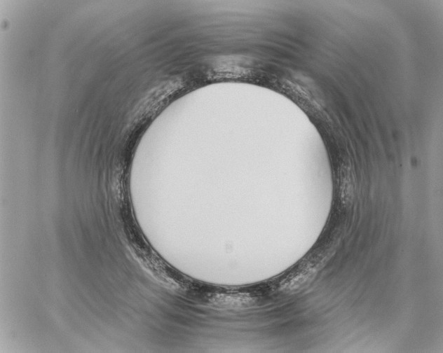 X0000058130455200510212050