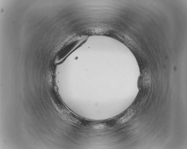 X0000058130456200510212050