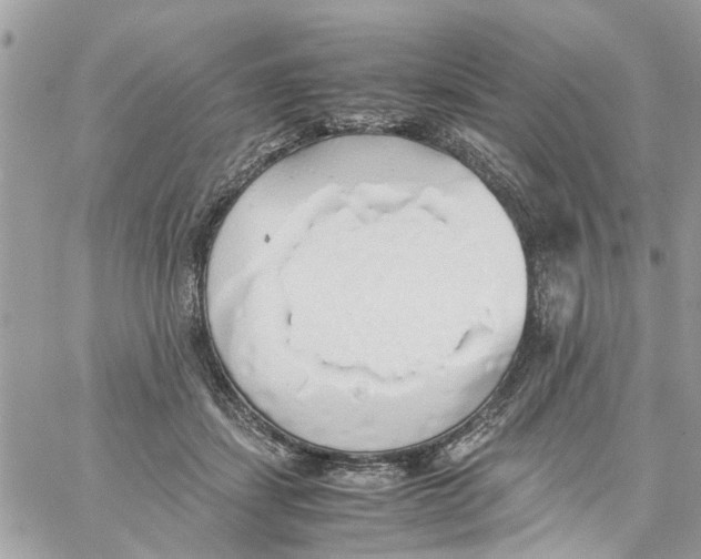 X0000058130459200510212050