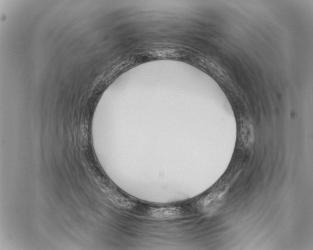 X0000058130461200510212050