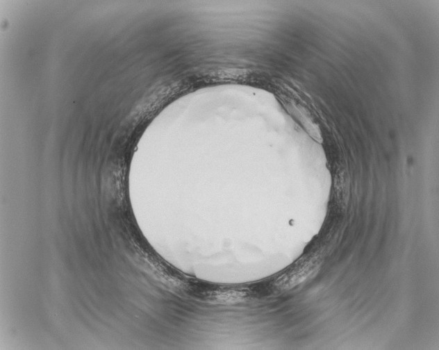 X0000058130462200510212050