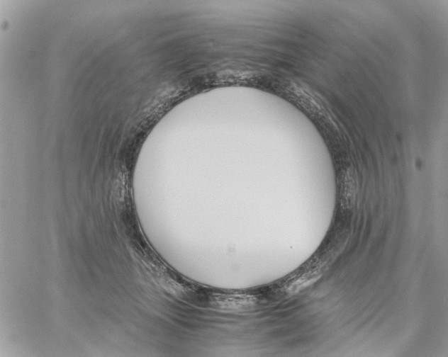 X0000058130463200510212050