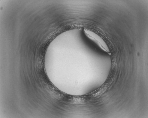 X0000058130464200510212050