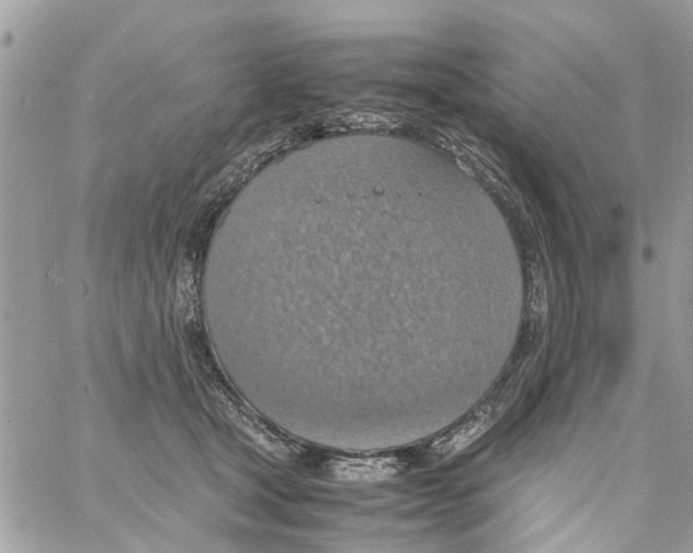 X0000058130465200510212050