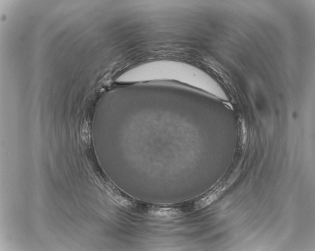 X0000058130467200510212050