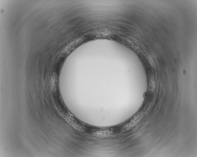 X0000058130468200510212050