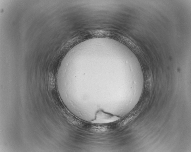 X0000058130469200510212050