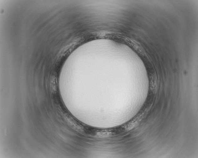 X0000058130470200510212050