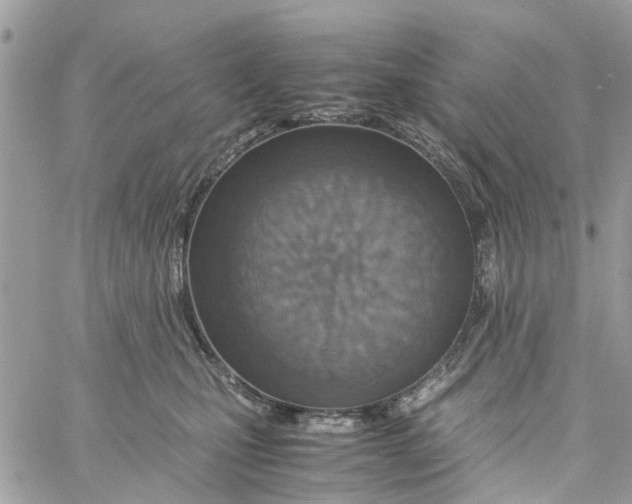 X0000058130471200510212050