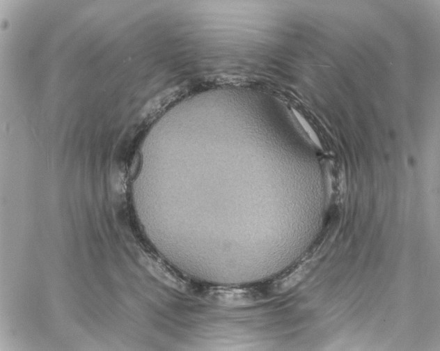 X0000058130472200510212050