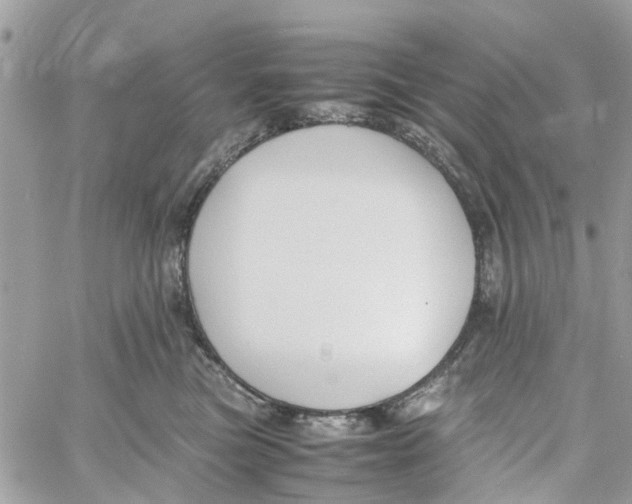 X0000058130473200510212050