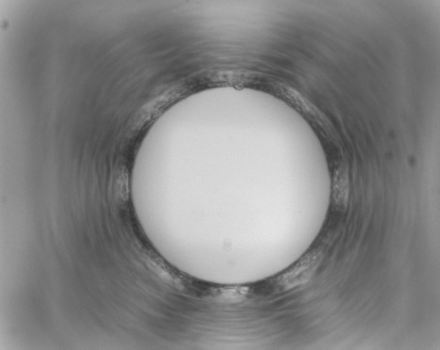 X0000058130474200510212050