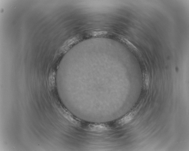 X0000058130475200510212050