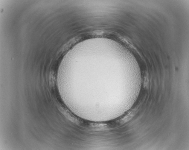 X0000058130476200510212050