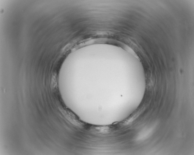 X0000058130478200510212050