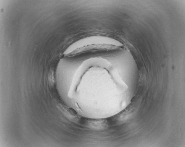 X0000058130479200510212050