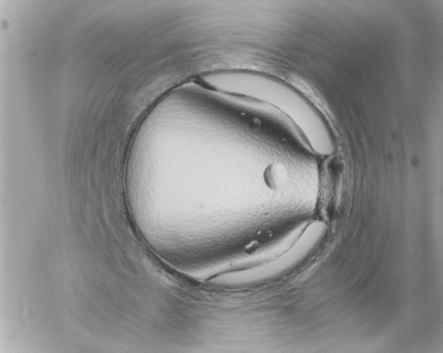 X0000058130481200510212049