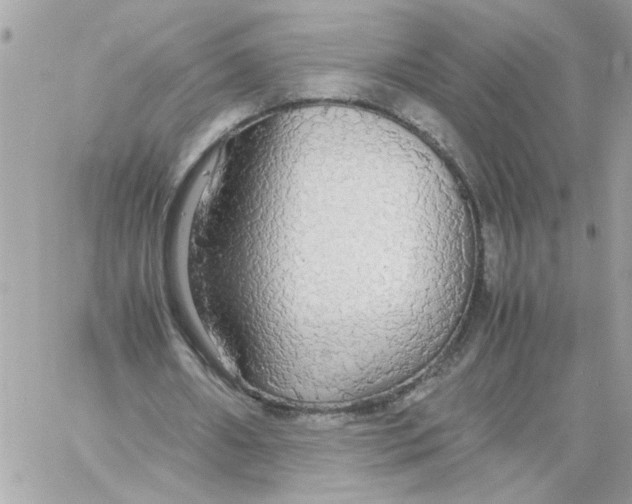 X0000058130482200510212049