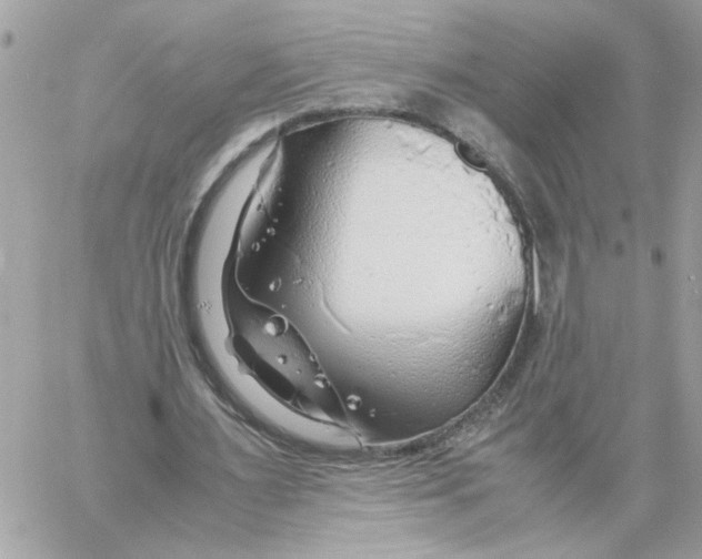 X0000058130483200510212049