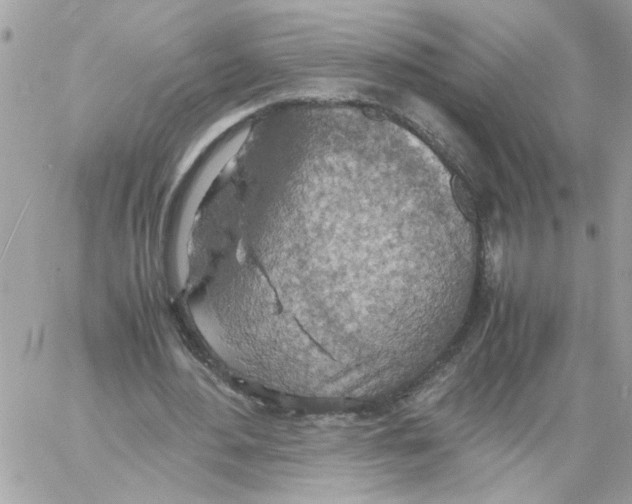 X0000058130484200510212049