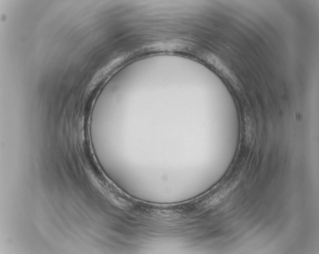 X0000058130486200510212049