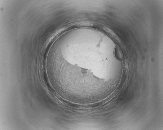 X0000058130487200510212049