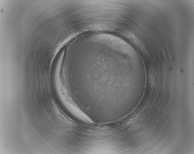 X0000058130488200510212049