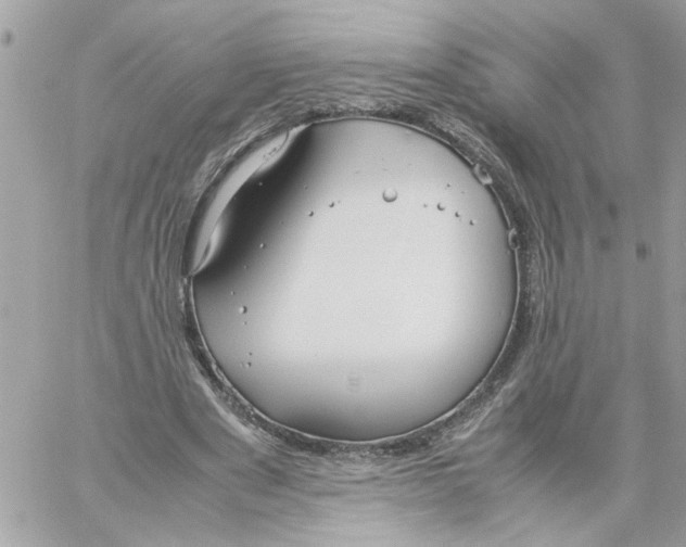 X0000058130489200510212049