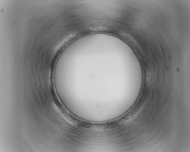 X0000058130490200510212049