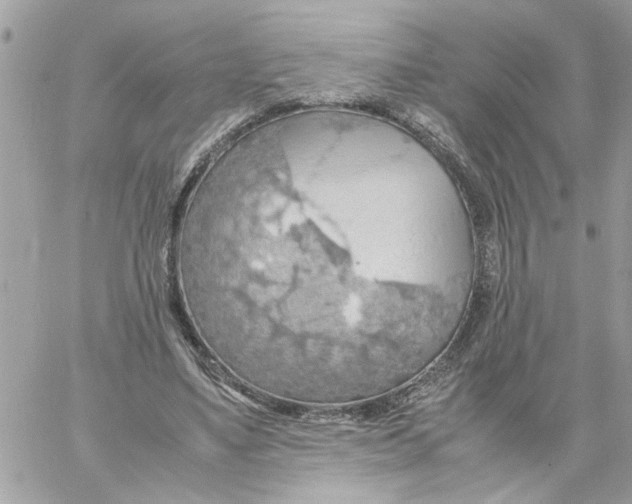 X0000058130491200510212049