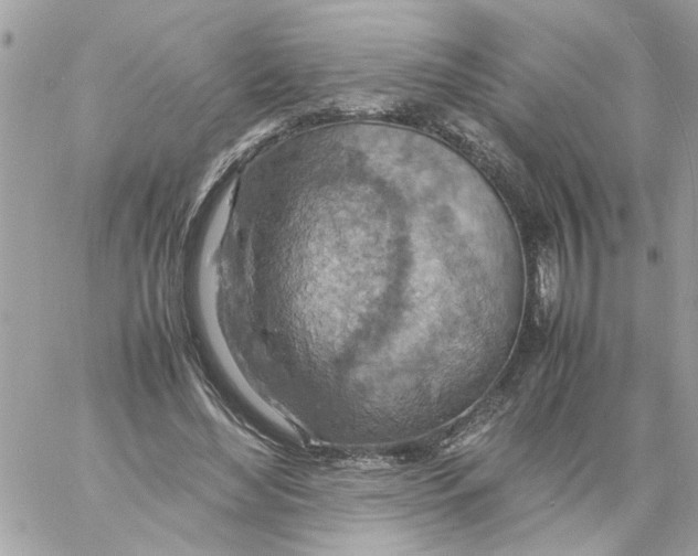 X0000058130492200510212049