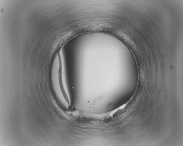 X0000058130493200510212049