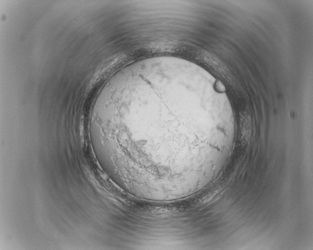 X0000058130494200510212049