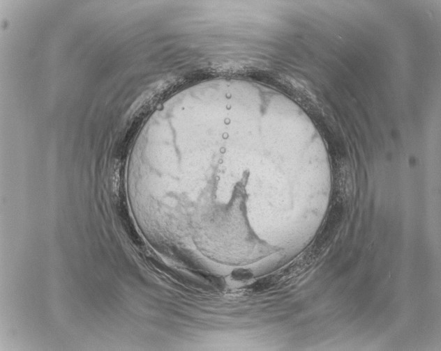 X0000058130495200510212049