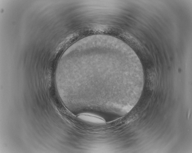 X0000058130496200510212049