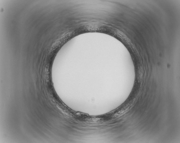 X0000058130497200510212049