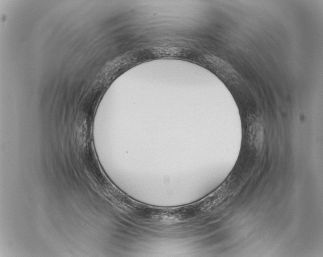 X0000058130498200510212049