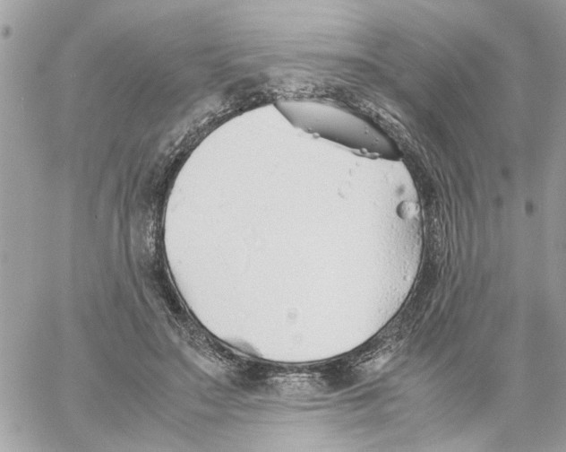 X0000058130499200510212049