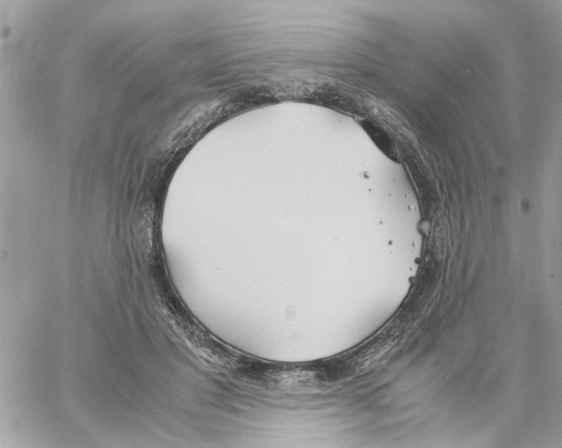 X0000058130501200510212049