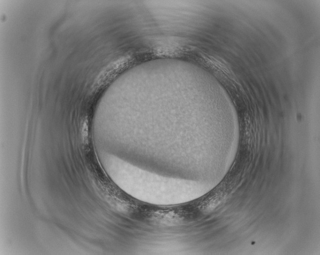 X0000058130502200510212049