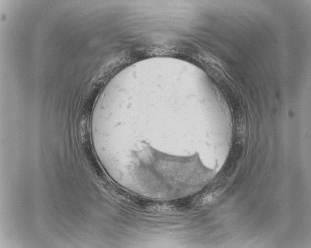 X0000058130503200510212049