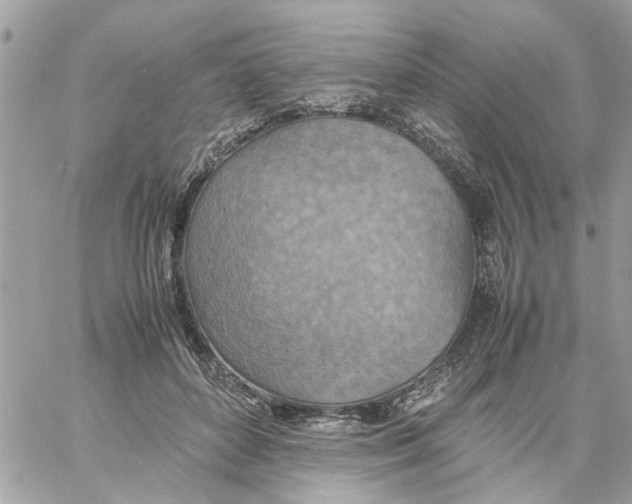 X0000058130504200510212049