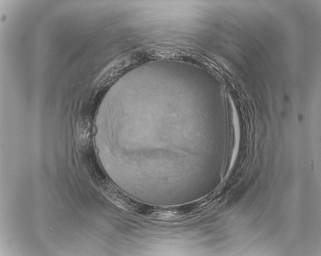 X0000058130507200510212049