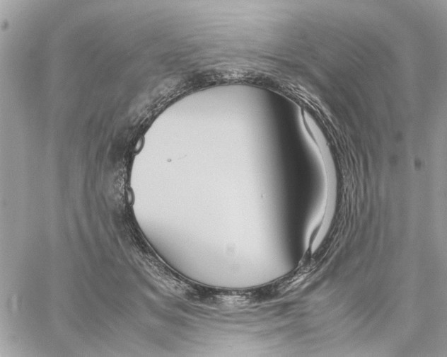 X0000058130509200510212049