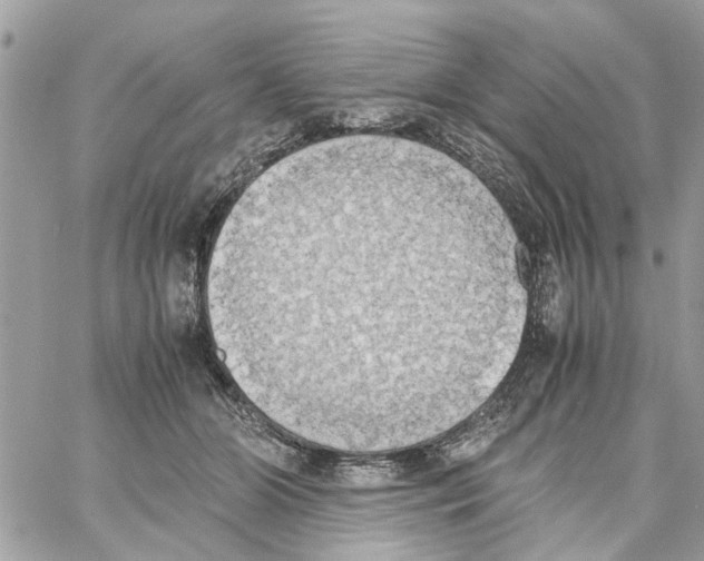 X0000058130510200510212049