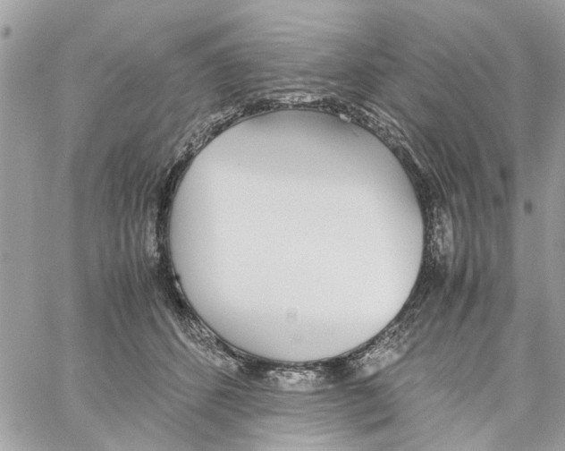 X0000058130512200510212049