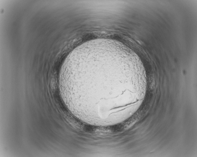 X0000058130515200510212049