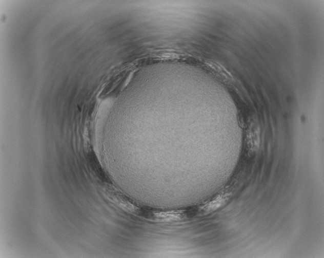 X0000058130516200510212049